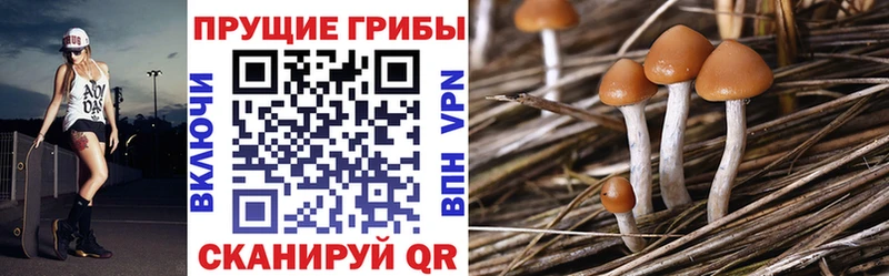 Псилоцибиновые грибы MAGIC MUSHROOMS  Купить закладки  Курлово 